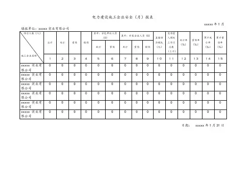 电力安全年报表-最新通用版