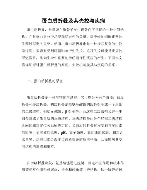 蛋白质折叠及其失控与疾病