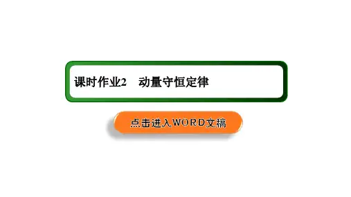 课时作业—人教版高中物理选择性必修第一册教学课件2