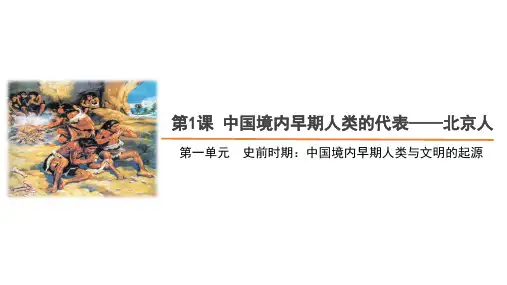 【人教七年级历史上册】第一课《中国境内早期人类的代表——北京人》精品课件