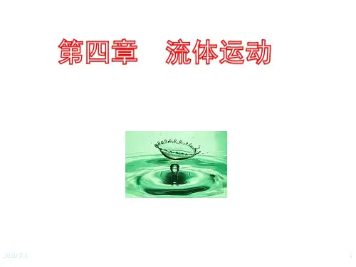 高中物理竞赛 第四章 流体运动 (共51张PPT)