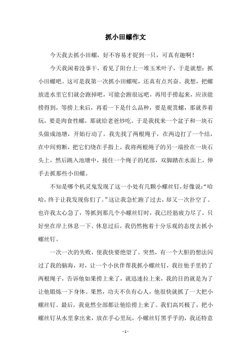 抓小田螺作文