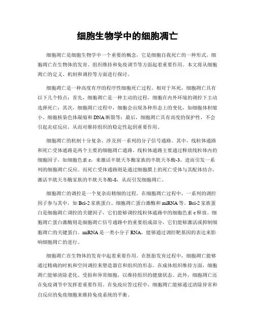 细胞生物学中的细胞凋亡