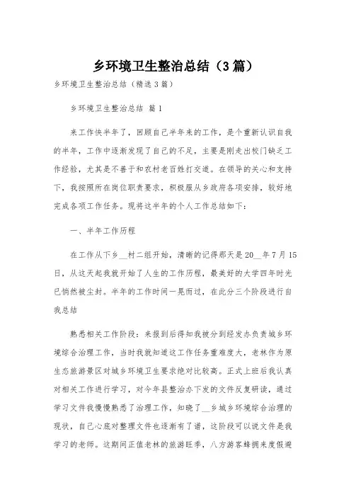 乡环境卫生整治总结(3篇)