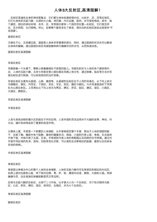 人体5大反射区,高清图解！