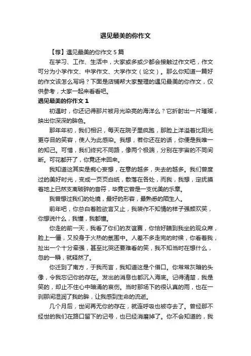 遇见最美的你作文