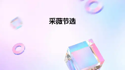 采薇节选ppt优秀课件