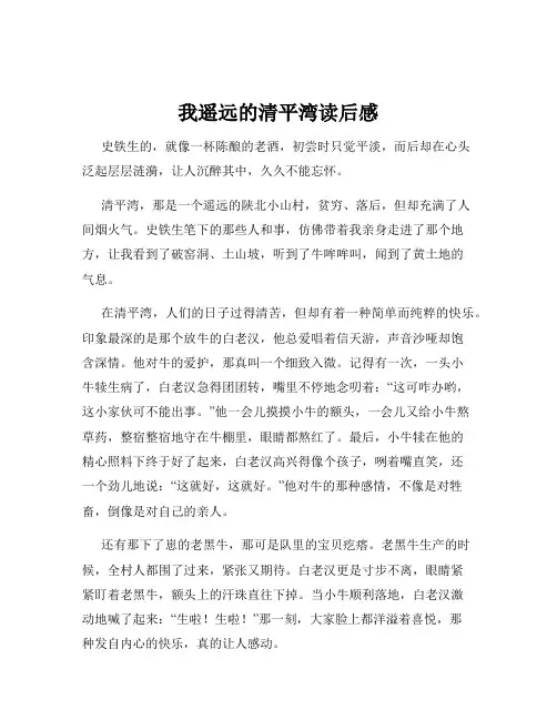 我遥远的清平湾读后感