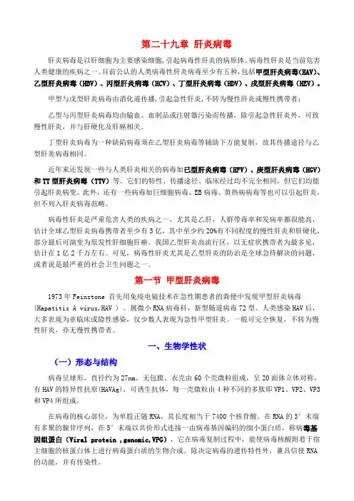 第二十九章 肝炎病毒