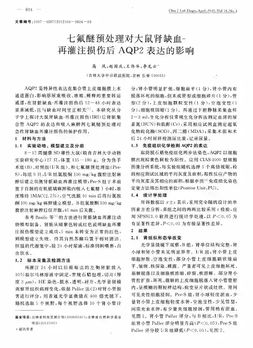 七氟醚预处理对大鼠肾缺血-再灌注损伤后AQP2表达的影响