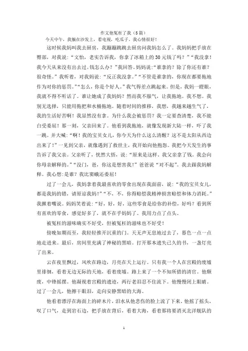作文他冤枉了我(5篇)