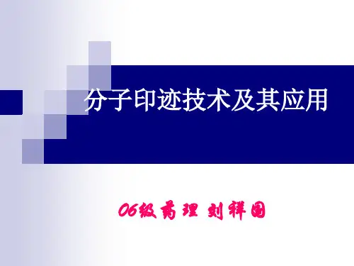 分子印迹技术及其应用