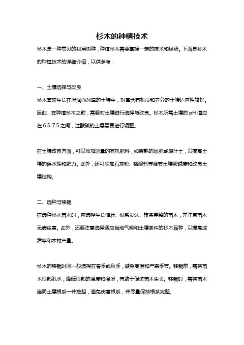 杉木的种植技术