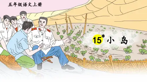 【最新】部编版五年级语文上册第15课《小岛》精品课件