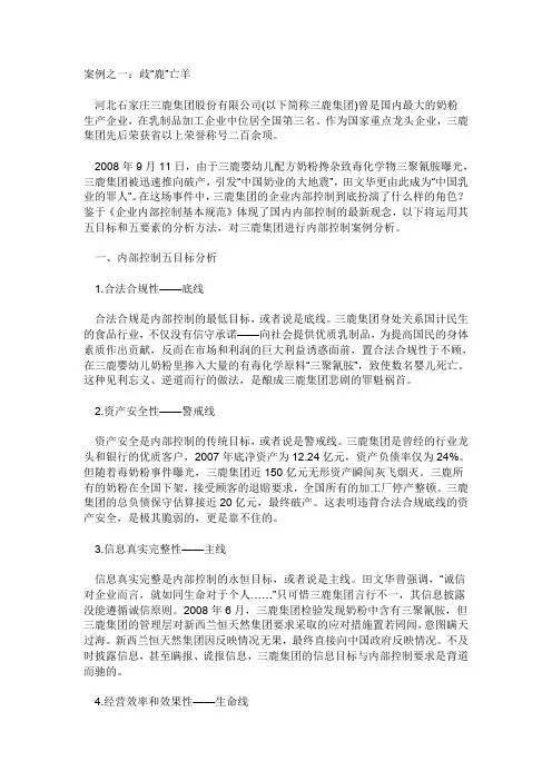 内控案例