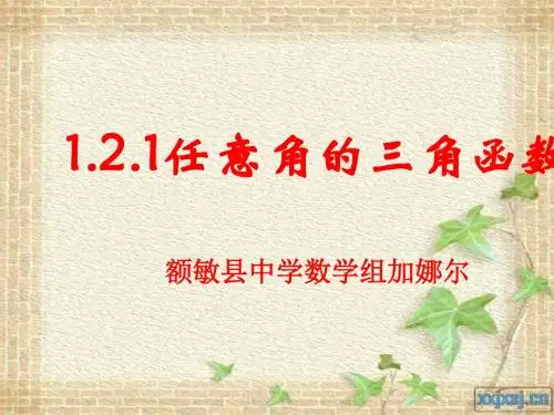 任意角的三角函数PPT优秀课件29(4份)