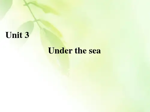 2019-2020学年人教版高中英语选修七课件：Unit 3 Under the sea Section Ⅲ