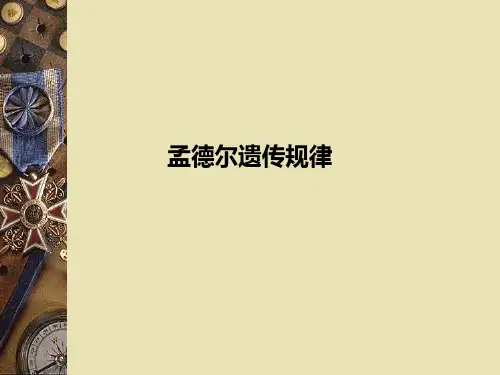 孟德尔遗传规律PPT课件