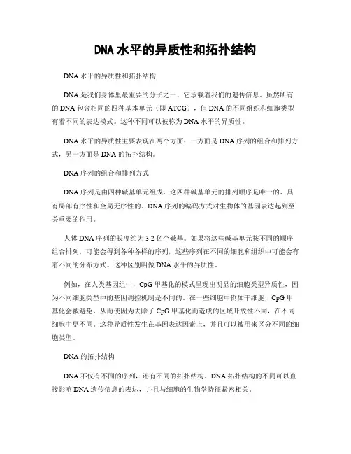DNA水平的异质性和拓扑结构