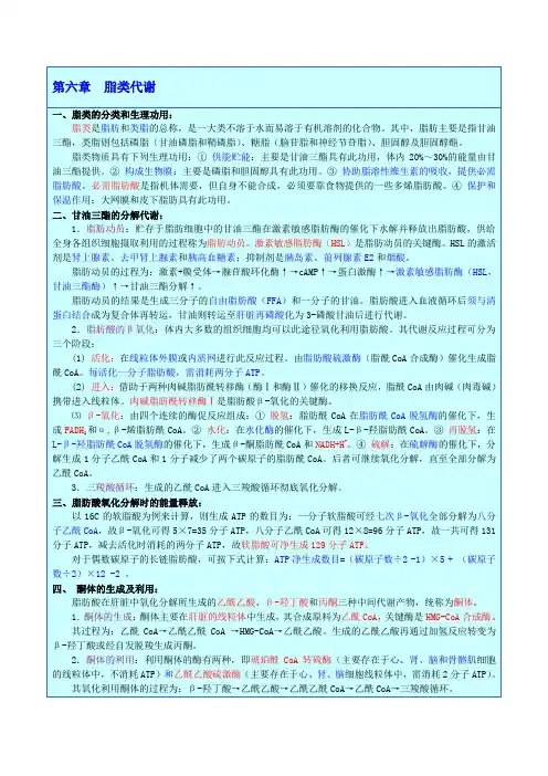 脂类、氨基酸代谢