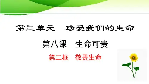 七年级上册道德与法治8.2 敬畏生命最新人教版