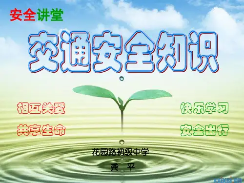 交通安全知识ppt课件