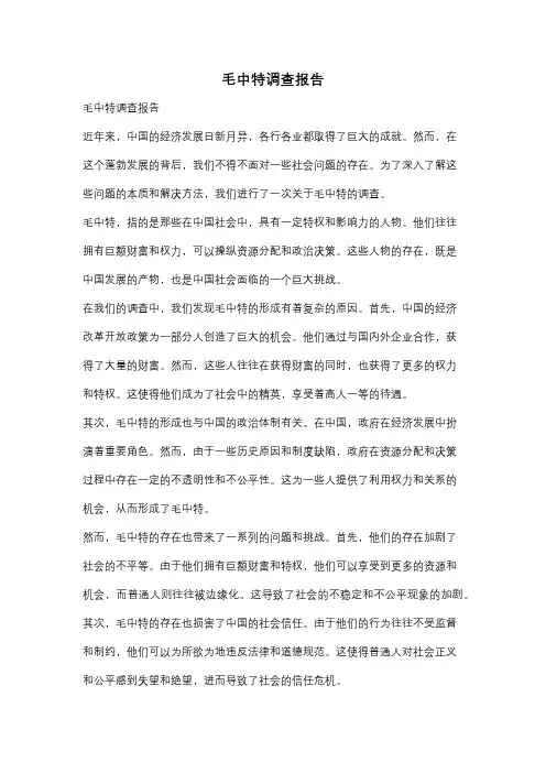毛中特调查报告