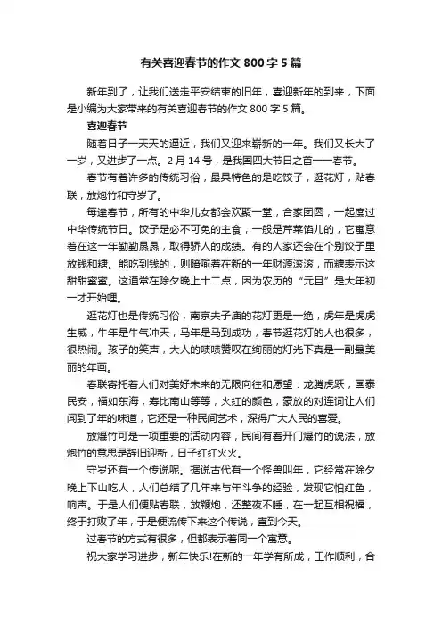 有关喜迎春节的作文800字5篇