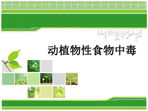 动植物性食物中毒