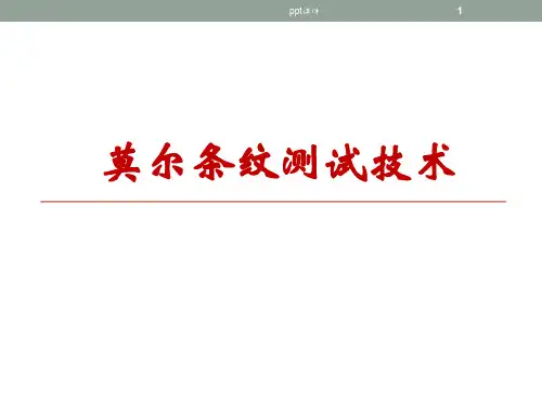 莫尔条纹测试技术  ppt课件