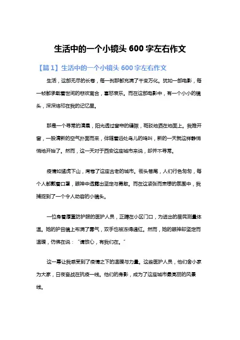 生活中的一个小镜头600字左右作文