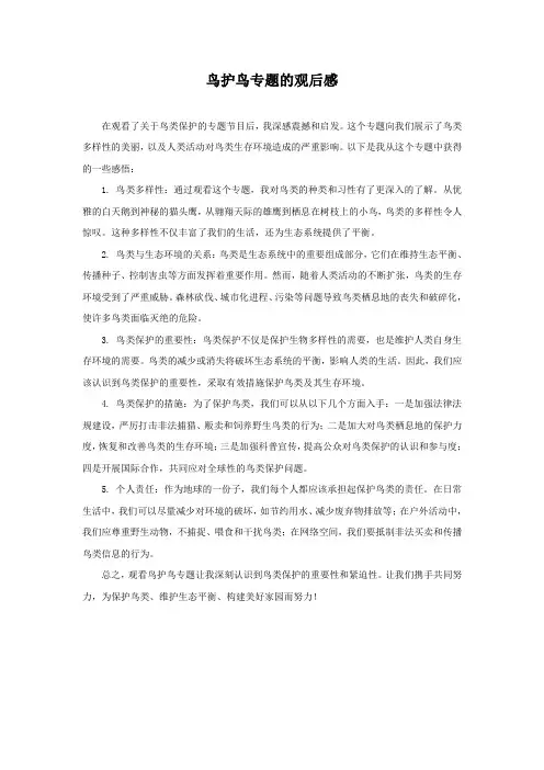 鸟护鸟专题的观后感