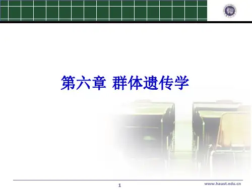 第六章 群体遗传学基础