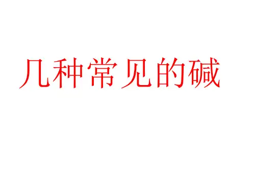 几种常见的碱PPT课件