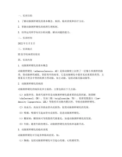 实训报告动脉粥样硬化
