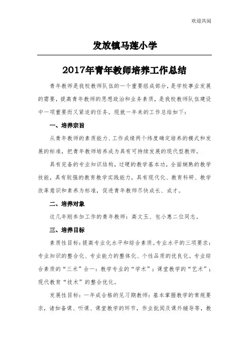 青年教师培养总结 2