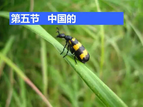 地理选修五25 中国的生物灾害PPT课件
