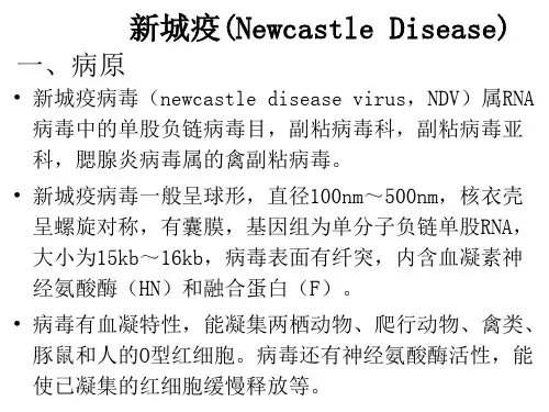 禽病学：新城疫