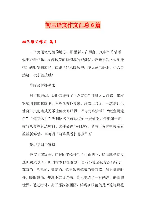 初三语文作文汇总6篇