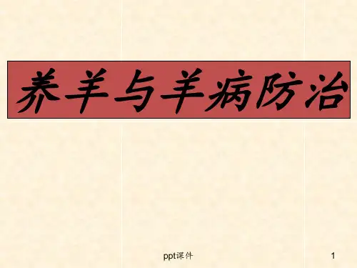 养羊与羊病防治技术 ppt课件