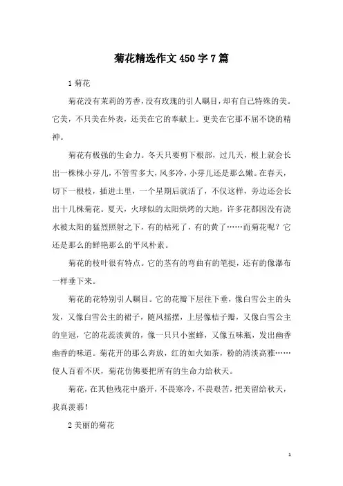 菊花精选作文450字7篇