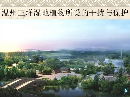 温州三垟湿地