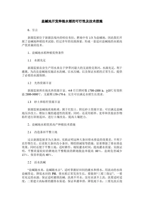 盐碱地开发种植水稻的可行性及技术措施