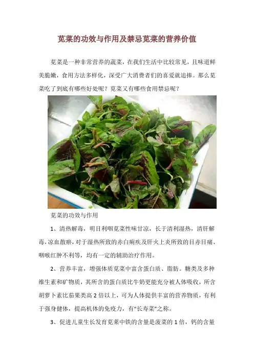 苋菜的功效与作用及禁忌 苋菜的营养价值