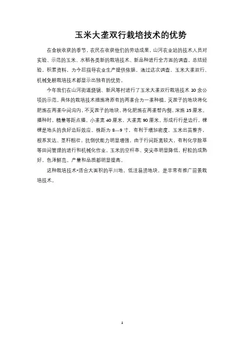 玉米大垄双行栽培技术的优势