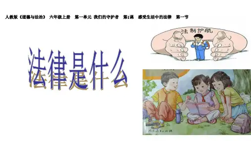 统编部编版小学六年级上册道德与法治第1课感受生活中的法律第一节
