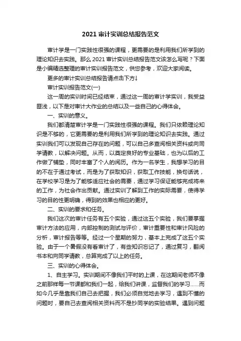 2021审计实训总结报告范文