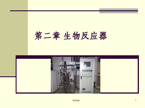 《生物反应器》PPT课件