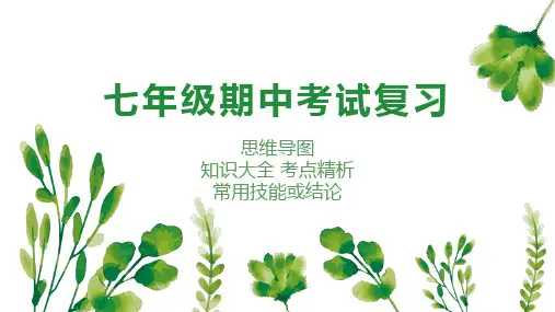 专题01丰富的图形世界课件