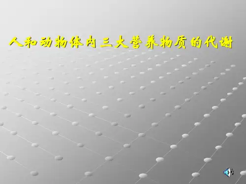 人和动物体内三大营养物质的代谢PPT教学课件